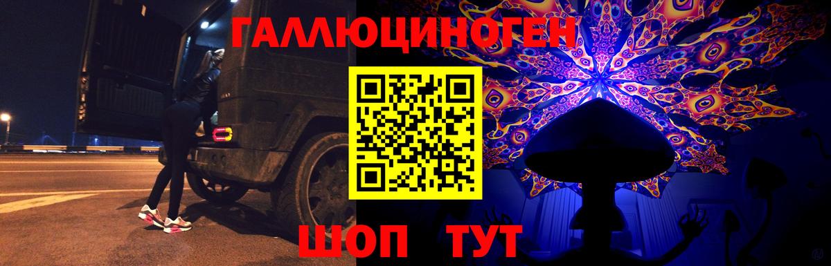 Галлюциногенные грибы прущие грибы  Вход с VPN  Тихвин 